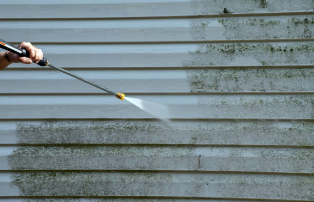 Best Patio and Deck Pressure Washing  in Washington, DC